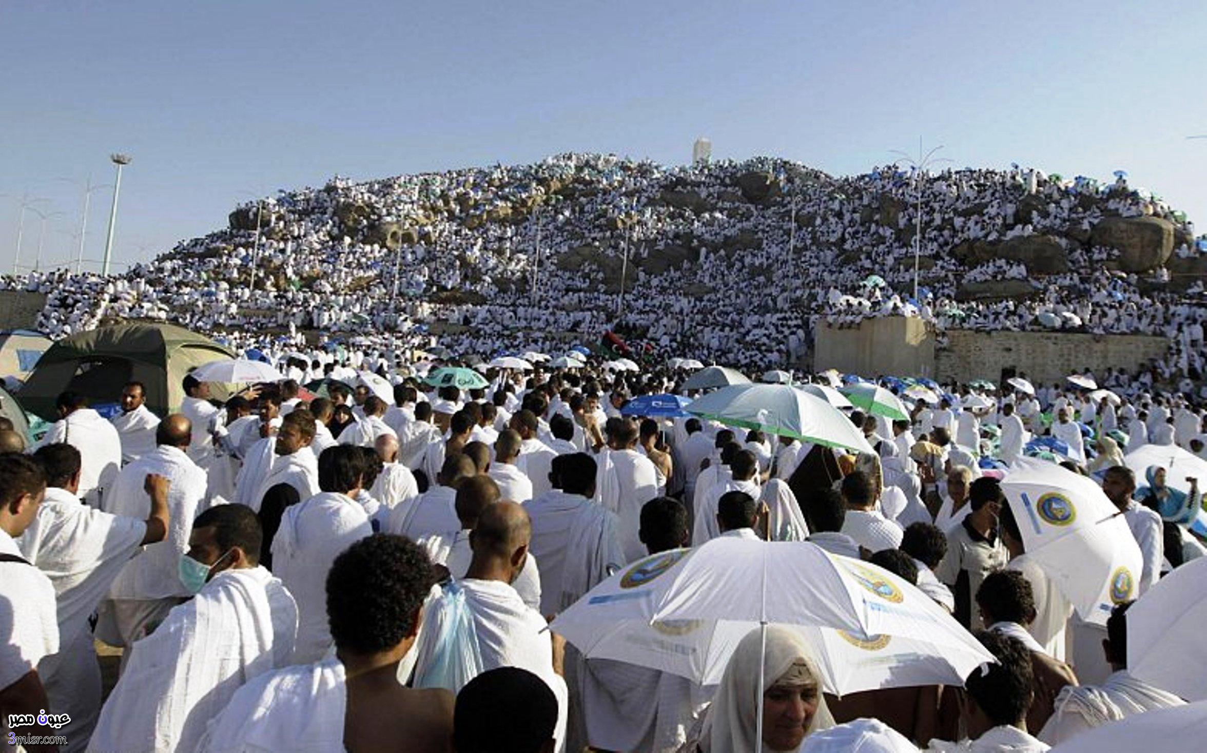 نتيجة بحث الصور عن اجتماع المسلمين في الحج