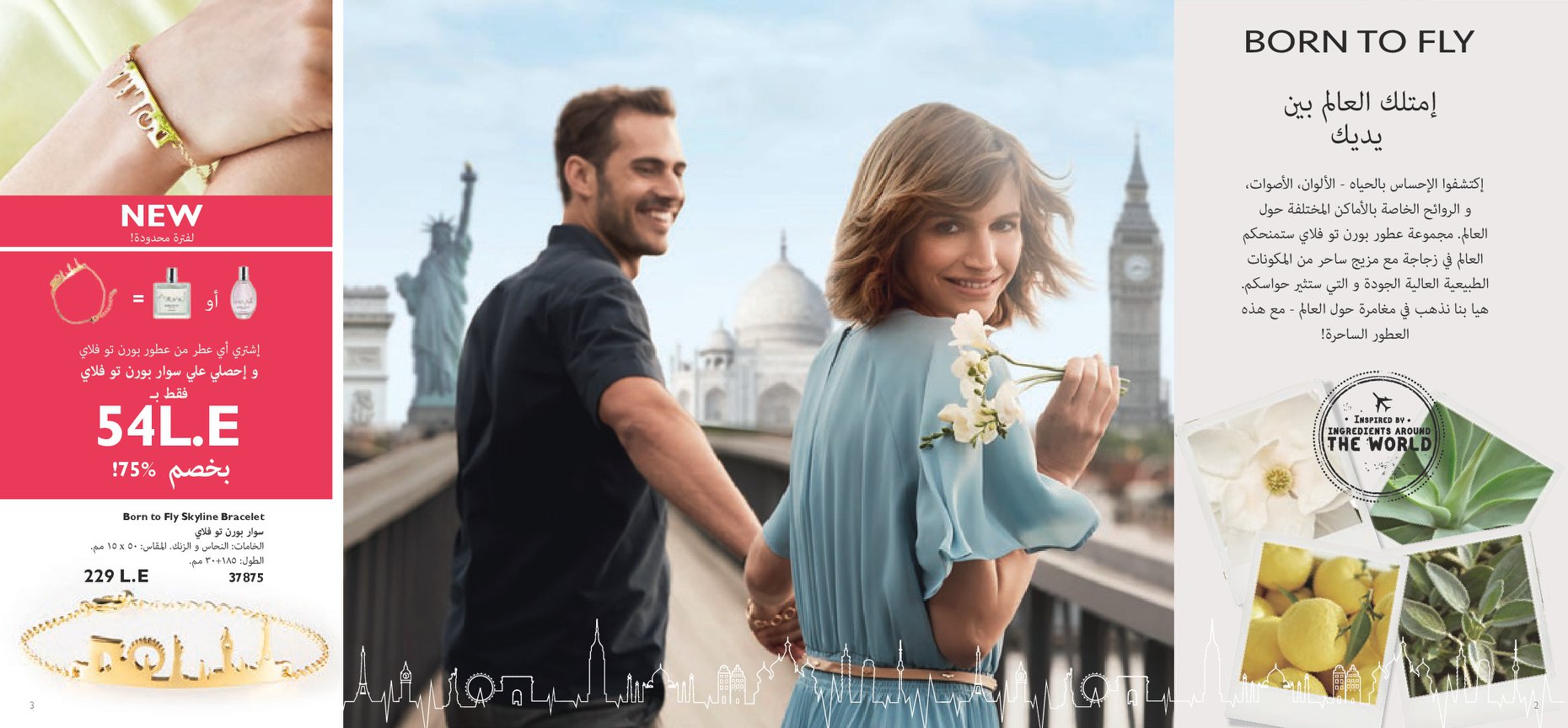 كتالوج أورفيليم فبراير2019