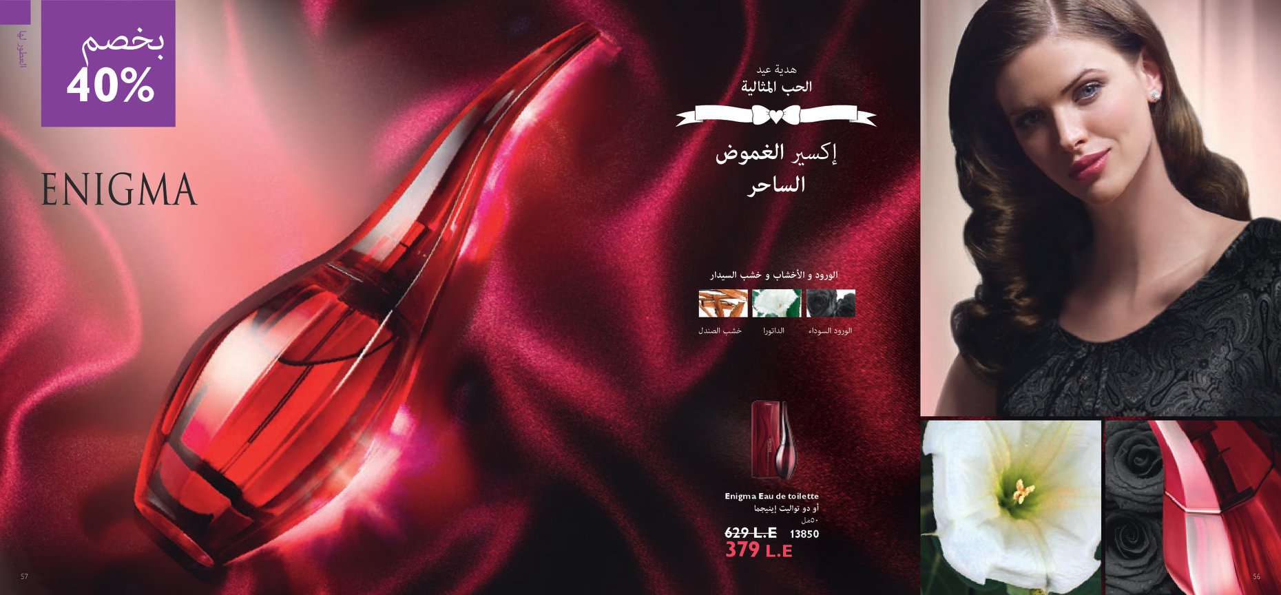 كتالوج أورفيليم فبراير2019