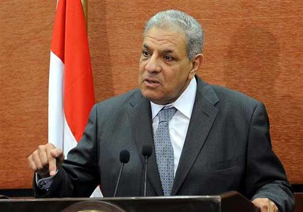 محلب لوزير الدفاع الفرنسى: هناك قنوات على الأقمار الغربية تحض على الإرهاب 1 محلب