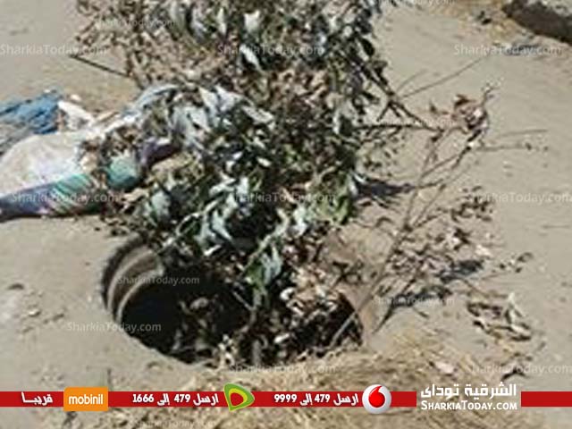 أهالى هربيط بمركز أبو كبير يشتكون من غرف التفتيش المكشوفة الشرقية توداي أهالى هربيط بمركز أبو كبير يشتكون من غرف التفتيش المكشوفة الشرقية توداي