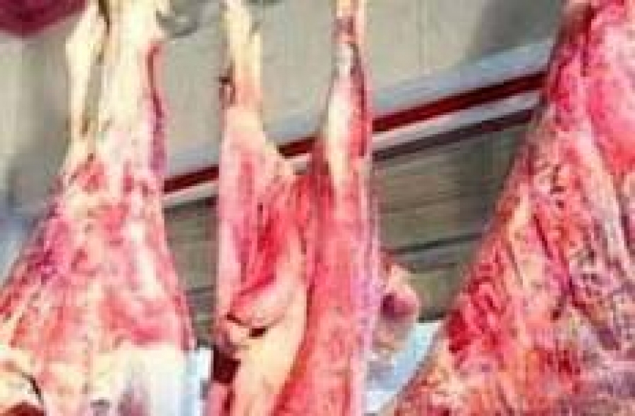 «التموين والزراعة» تُعلنان أسعار لحوم عيد الأضحى 1 أسعار لحوم عيد الأضحى بمنافذ التموين والزراعة