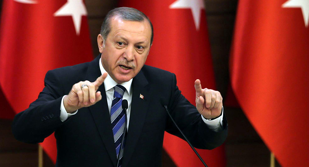 أردوغان يعلن أنه سيتقدم باستقالته في هذه الحالة 1 أردوغان
