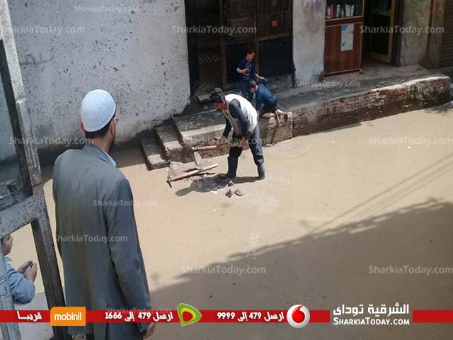 عمدة صفط الحنا بأبوحماد