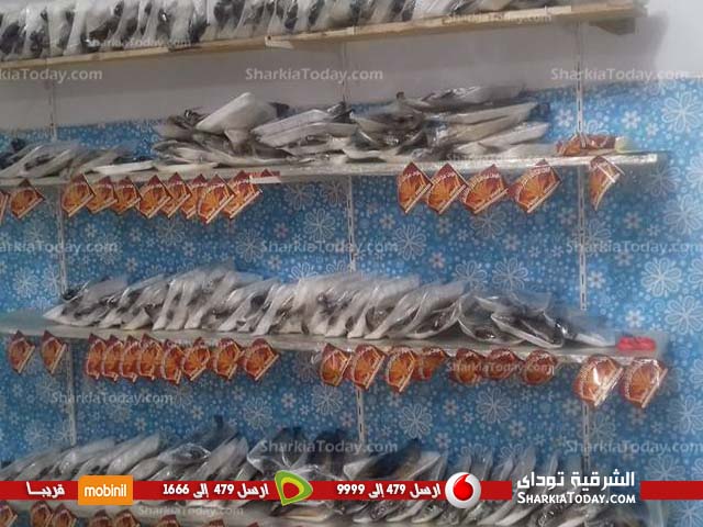 مكافحة الجوع بالزقازيق تشارك المسنين والمحتاجين احتفاليات شم النسيم 3 مكافحة الجوع بالزقازيق تشارك المسنين والمحتاجين احتفاليات شم النسيم