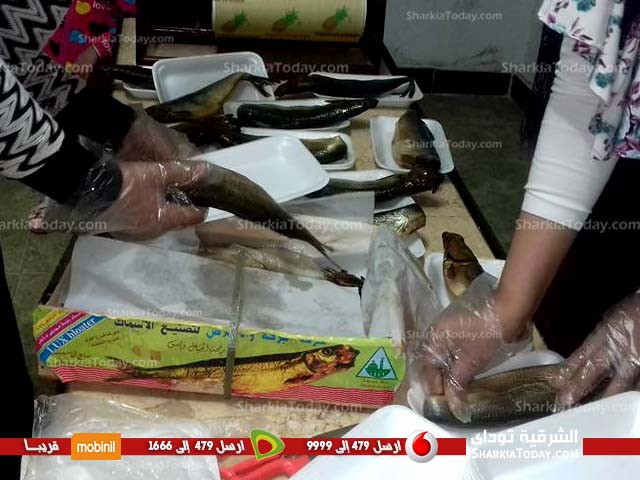 مكافحة الجوع بالزقازيق تشارك المسنين والمحتاجين احتفاليات شم النسيم 4 مكافحة الجوع بالزقازيق تشارك المسنين والمحتاجين احتفاليات شم النسيم