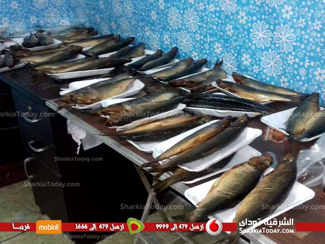 مكافحة الجوع بالزقازيق تشارك المسنين والمحتاجين احتفاليات شم النسيم 5 مكافحة الجوع بالزقازيق تشارك المسنين والمحتاجين احتفاليات شم النسيم