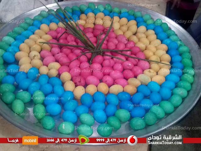 مكافحة الجوع بالزقازيق تشارك المسنين والمحتاجين احتفاليات شم النسيم 7 مكافحة الجوع بالزقازيق تشارك المسنين والمحتاجين احتفاليات شم النسيم