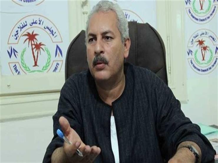 نقيب الفلاحين عن تحديد مساحة زراعة الأرز