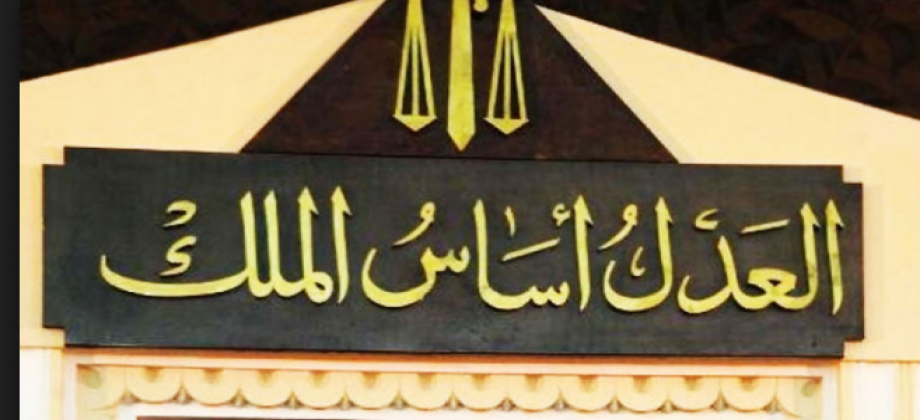 حبس زوجة نجل سامي عنان 15 يوم والمتهمة تستأنف على الحكم 1 زوجة نجل سامي