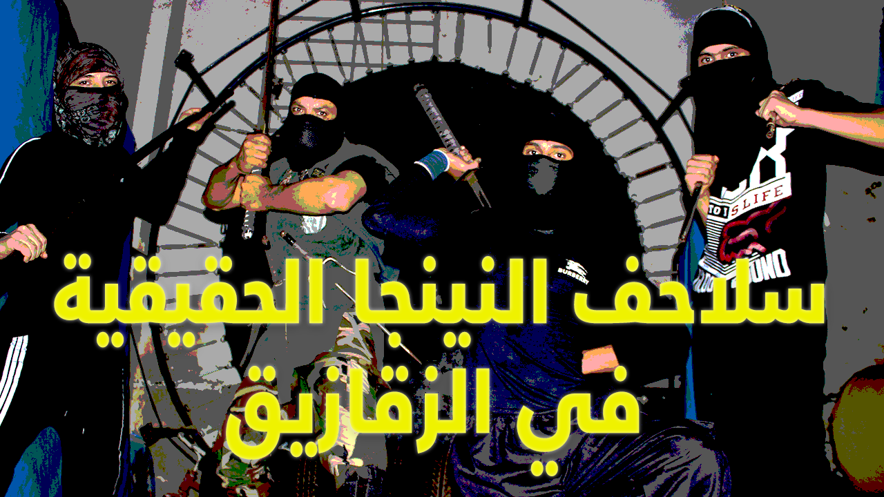 سلاحف النينجا حقيقية في الزقازيق 1 سلاحف النينجا حقيقية في الزقازيق