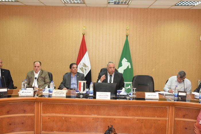 إنشاء موزع كهرباء الغشام بمدينة القنايات بتكلفة 40 مليون جنيه 1 محافظ الشرقية