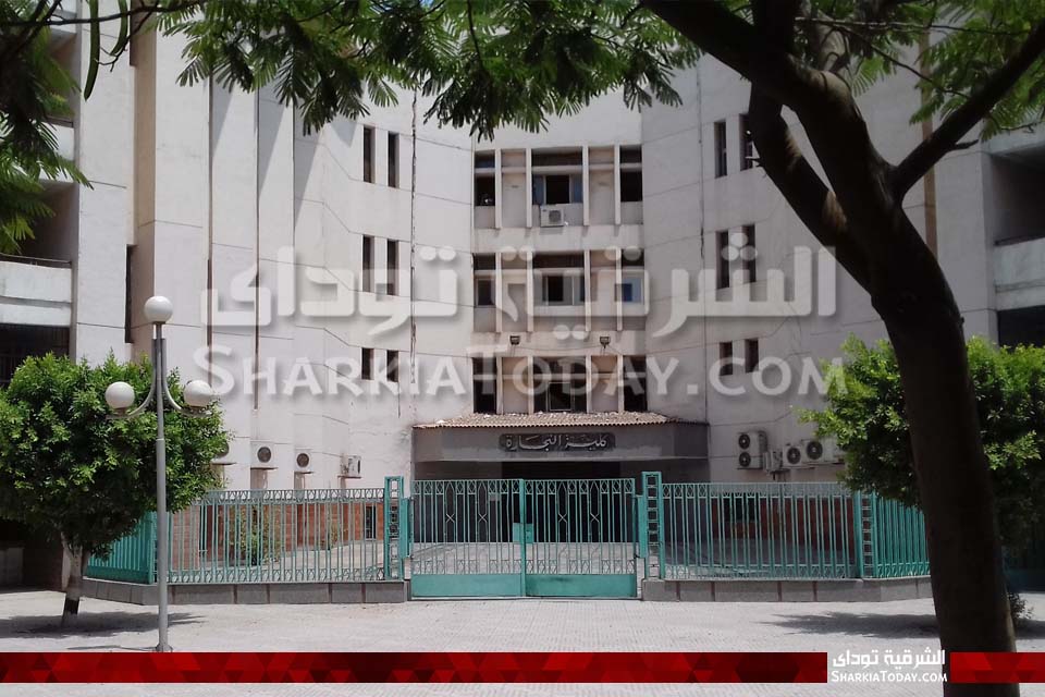 نظام الدراسة بكلية التجارة جامعة الزقازيق و أقسامها 1 كلية التجارة جامعة الزقازيق