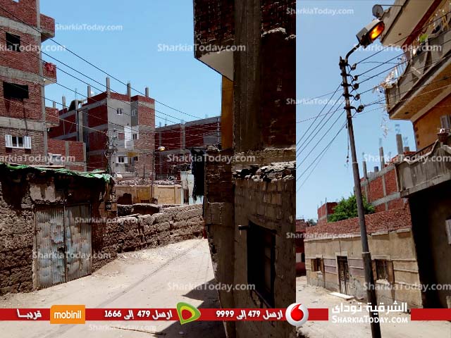 أعمدة الكهرباء تضئ نهارًا بقرية الطويلة بفاقوس