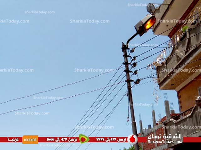 أعمدة الكهرباء تضئ نهارًا بقرية الطويلة بفاقوس