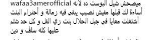 تعلق وفاء عامر