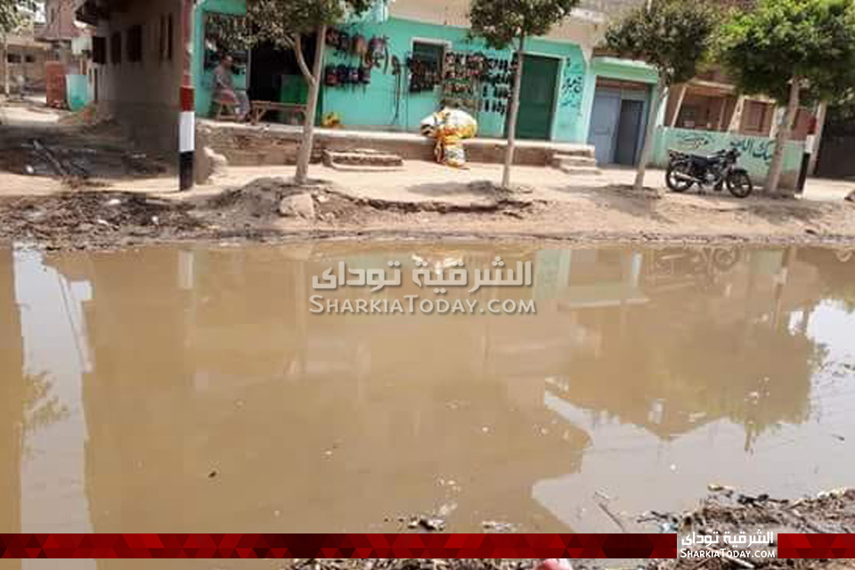 قرية حماد بكفر صقر تغرق في الصرف الصحي 3 قرية حماد بكفر صقر تغرق في الصرف الصحي