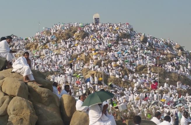 يوم عرفة .. «فضله.. صيامه .. جبل عرفات .. ما يفعله الحجيج .. سبب تسميته» 3 عرفة 2