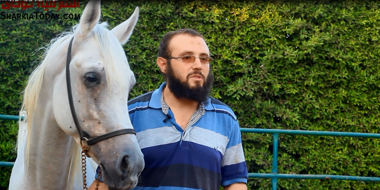تربية الخيول وتعلم الفروسية من تراث محافظة الشرقية 2 محمد الشربيني