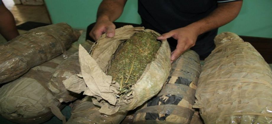 ضبط عاطل بحوزته 9 كيلو بانجو بصان الحجر 1 بانجو