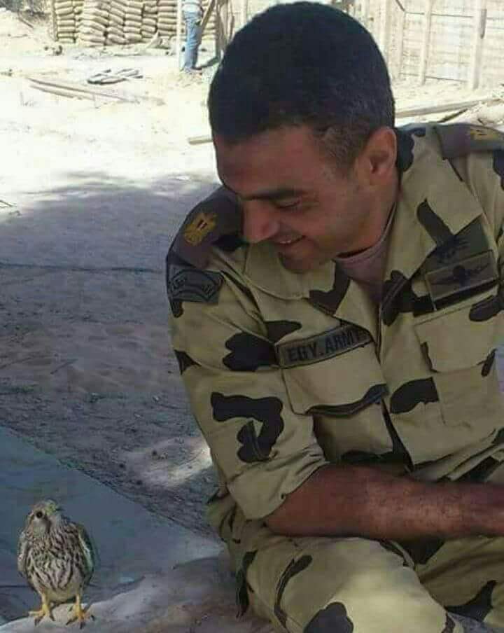شقيق الشهيد «أحمد المنسي» ابن الشرقية يخصص يوم لعلاج الفقراء مجانًا 2 شقيق الشهيد المنسي ابن الشرقية يخصص يوم لعلاج الفقراء