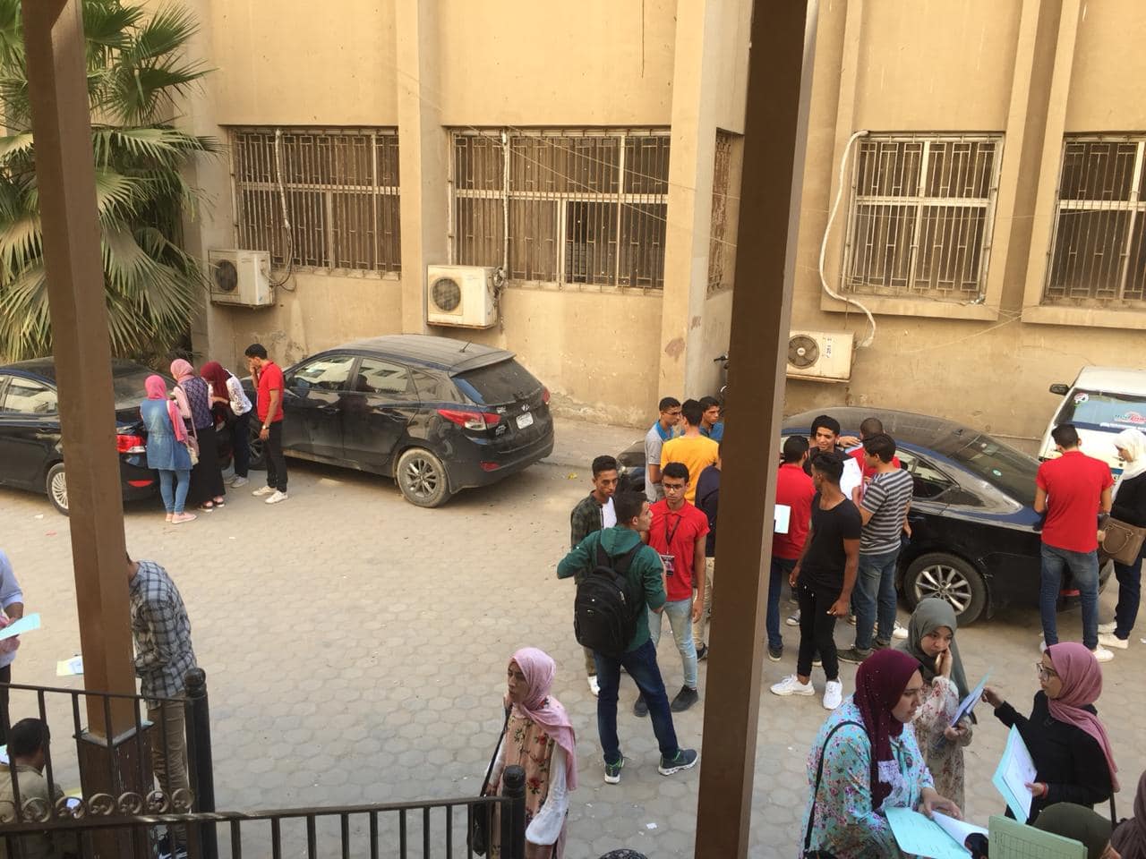 هكذا استقبل طلاب كلية الزراعة العام الدراسي الجديد 3 طلاب كلية الزراعة