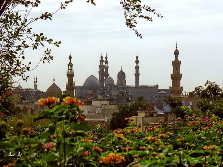 سحر حديقة الأزهر .. أضخم حدائق القاهرة الكبرى بـ 20 جنيه للدخول 8 حديقة الأزهر