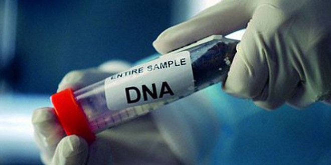 نتيجة تحليل الـ DNA لأطفال مذبحة الشروق 1 نتيجة تحليل الـDNA لأطفال مذبحة الشروق