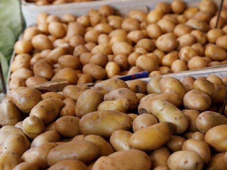 التموين: الحكومة نجحت في حل أزمة البطاطس خلال 48 ساعة 1 التموين تعلق على حل أزمة البطاطس
