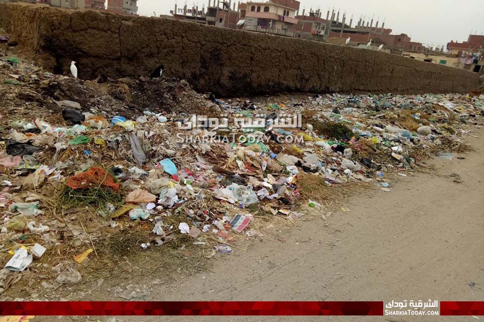 القمامة عنوان قرية أبو النور بأبوحماد .. والأهالي :«لازم نعدي كل يوم عليها» 4 عنوان قرية أبو النور بأبوحماد