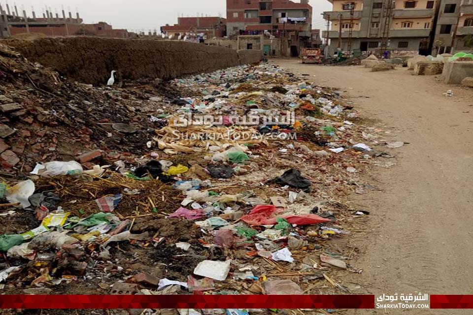القمامة عنوان قرية أبو النور بأبوحماد .. والأهالي :«لازم نعدي كل يوم عليها» 1 عنوان قرية أبو النور بأبوحماد120