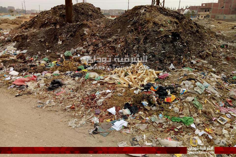 القمامة عنوان قرية أبو النور بأبوحماد .. والأهالي :«لازم نعدي كل يوم عليها» 3 عنوان قرية أبو النور بأبوحماد2