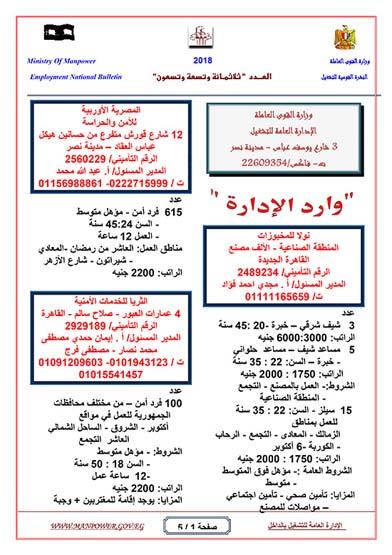القوى العاملة تطرح 2400 وظيفة براتب يصل لـ4 آلاف جنيه 6 القوى العاملة تطرح 2400 وظيفة براتب يصل لـ4 آلاف جنيه
