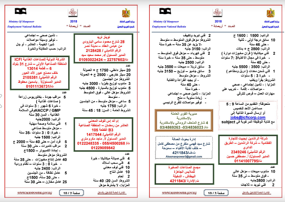 القوى العاملة تعلن عن 1809 فرصة عمل براتب يصل لـ 5000 جنيه 3 القوى العاملة تعلن عن 1809 فرصة عمل براتب يصل لـ 5000 جنيه