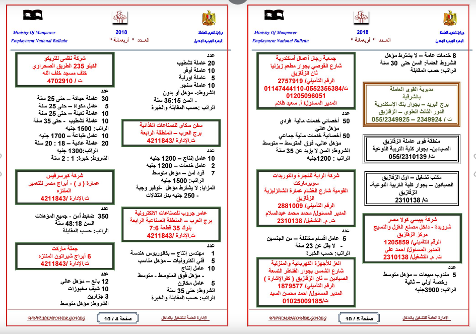 القوى العاملة تعلن عن 1809 فرصة عمل براتب يصل لـ 5000 جنيه 4 القوى العاملة تعلن عن 1809 فرصة عمل براتب يصل لـ 5000 جنيه