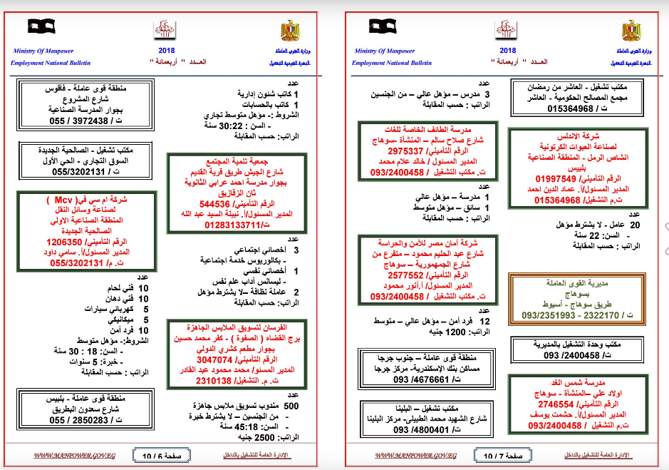 القوى العاملة تعلن عن 1809 فرصة عمل براتب يصل لـ 5000 جنيه 5 القوى العاملة تعلن عن 1809 فرصة عمل براتب يصل لـ 5000 جنيه