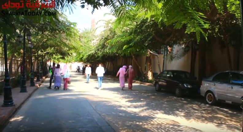 المصرية بلازا تتهم المحافظ أمام القضاء باغتصاب أرض المشروع وترد عليه بالمستندات 7 المصرية بلازا تتهم المحافظ أمام القضاء باغتصاب أرض المشروع