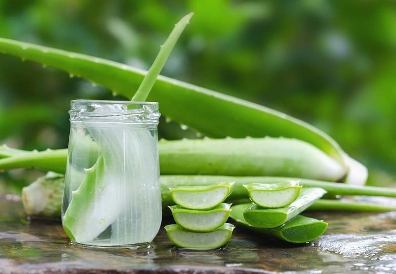 5 طرق سهلة التحضير لتخلص من انتفاخ العين 6 جل الصبار