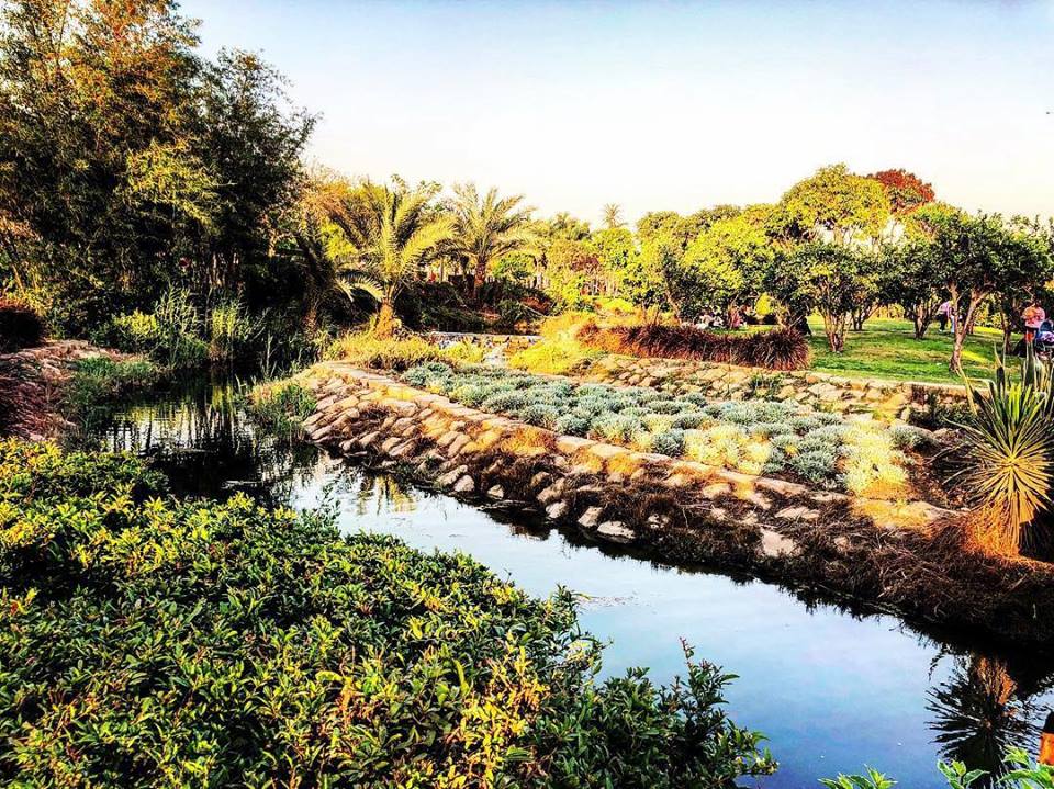 سحر حديقة الأزهر .. أضخم حدائق القاهرة الكبرى بـ 20 جنيه للدخول 20 حديقة الأزهر