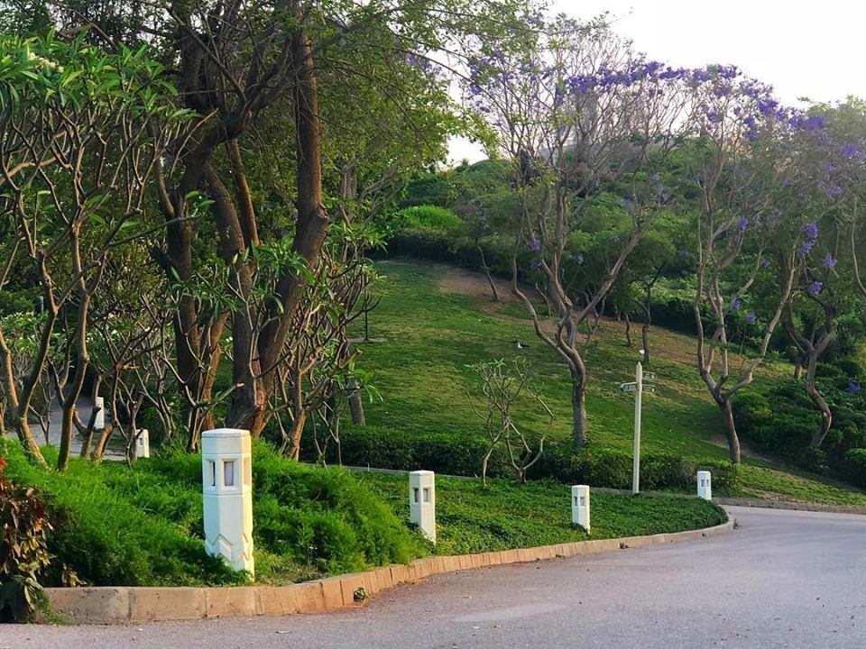 سحر حديقة الأزهر .. أضخم حدائق القاهرة الكبرى بـ 20 جنيه للدخول 22 حديقة الأزهر