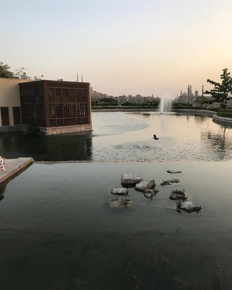 سحر حديقة الأزهر .. أضخم حدائق القاهرة الكبرى بـ 20 جنيه للدخول 28 حديقة الأزهر
