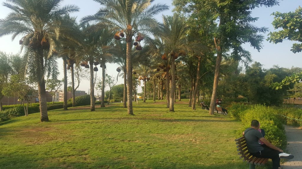 سحر حديقة الأزهر .. أضخم حدائق القاهرة الكبرى بـ 20 جنيه للدخول 13 حديقة الأزهر