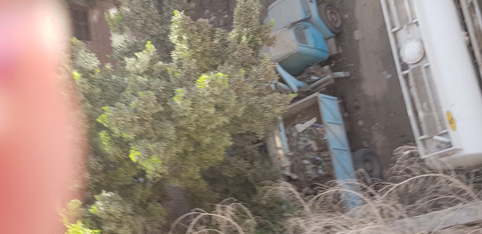 سكان حي مدرسة القومية يشكون من حشرات محطة الصرف الصحي 10 سكان حي مدرسة القومية يشكون من حشرات محطة الصرف الصحي