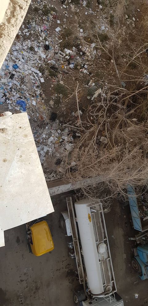 سكان حي مدرسة القومية يشكون من حشرات محطة الصرف الصحي 3 سكان حي مدرسة القومية يشكون من حشرات محطة الصرف الصحي