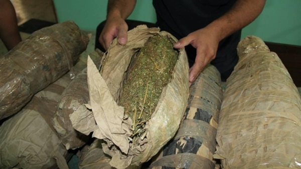 ضبط عاطلين بحوزتهما 11 لفافة بانجو بمشتول السوق 1 ضبط عاطلين بحوزتهما 11 لفافة بانجو بمشتول السوق