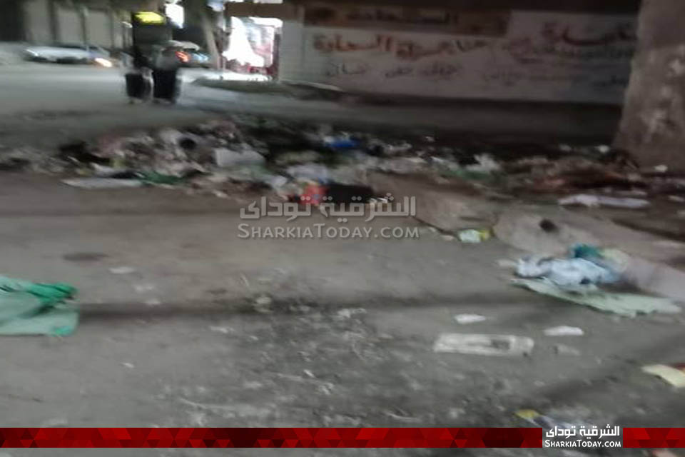 مقلب قمامة في محيط مجلس مدينة أبوحماد 3 قمامة في محيط مجلس مدينة أبوحماد