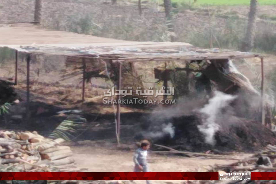 محافظ الشرقية يستجيب لما نشرناه بشأن مكامير الفحم في أبوحماد 1 الفحم 336
