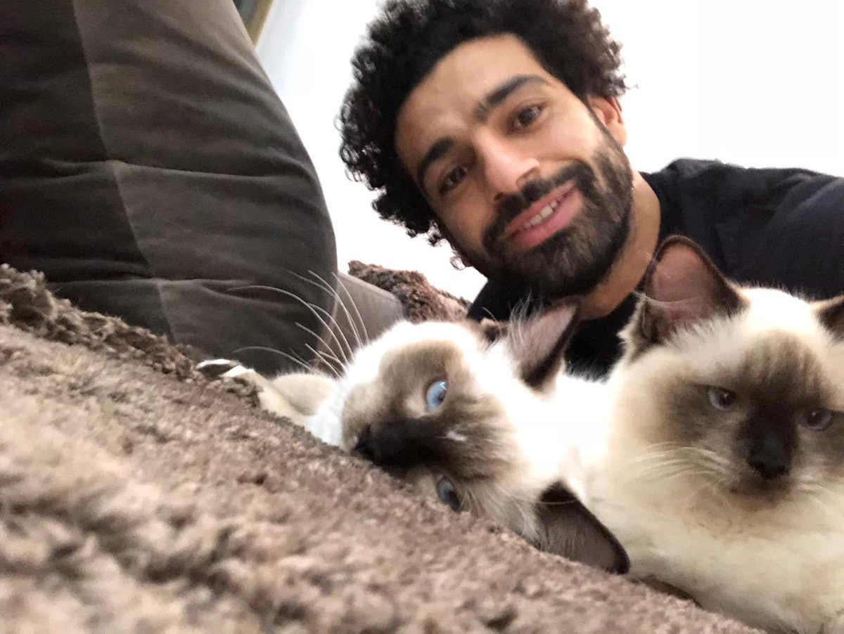 محمد صلاح يعلق على تصدير الكلاب والقطط من مصر 1 محمد صلاح يعلق على تصدير الكلاب والقطط من مصر