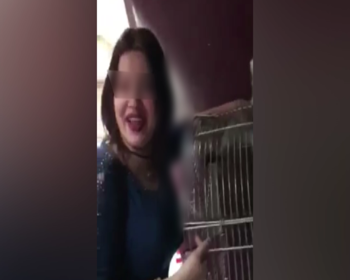 الحبس 3 سنوات لربة منزل تحرشت بقرد فى المنصورة 1 متحرشة القرد بالمنصورة