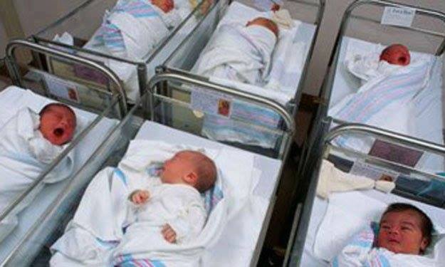القومي للسكان يفجر مفاجأة عن نسبة المواليد في مصر 1 القومي للسكان يفجر مفاجأة عن نسبة المواليد في مصر